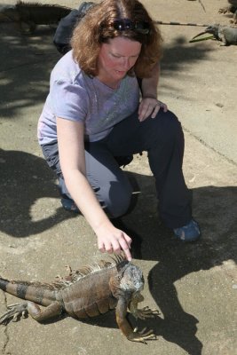 Iguana Farm - Roatan, Honduras