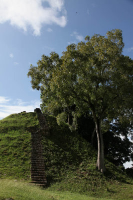 Altun Ha ruins in Belize