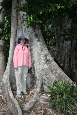 Chacchoben Mayan Ruins - Costa Maya, Mexico