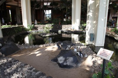 Hyatt Maui (Kaanapali) - lobby