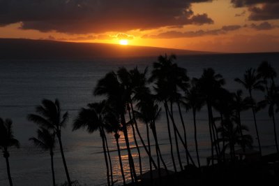 Maui 2010_03082010_688.jpg