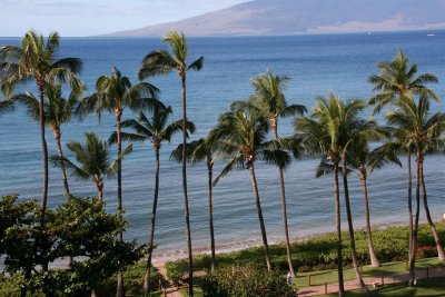 Hyatt Maui (view from our room)