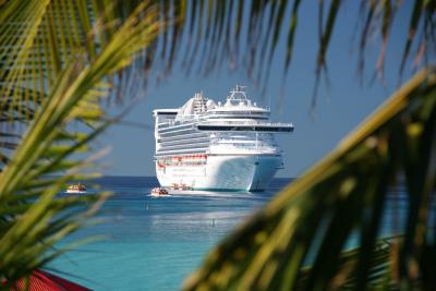 View of Caribbean Princess from private island