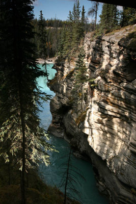 Athabasca Falls