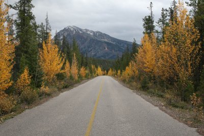 Jasper National Park