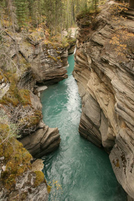 Athabasca Falls in Jasper National Park