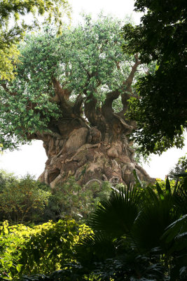 Tree of Life (Animal Kingdom)