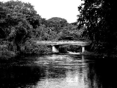Bridge in the lost world / Puente en el mundo perdido