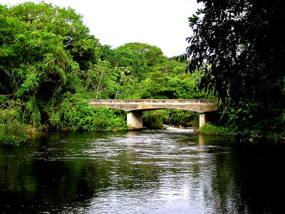 Bridge in the lost world / Puente en el mundo perdido