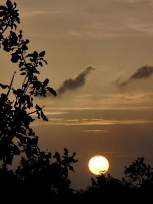 One more sunset / Un ocaso ms