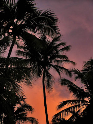 The day has gone away / El dia se ha ido