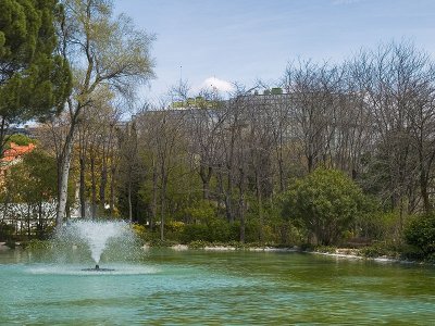 Fuente / Fountain