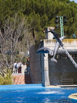 Show en el Zoo-Aquarium de Madrid