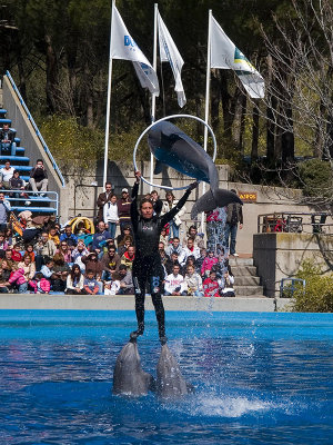 Show en el Zoo-Aquarium de Madrid