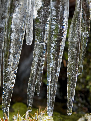 Hielo / Ice