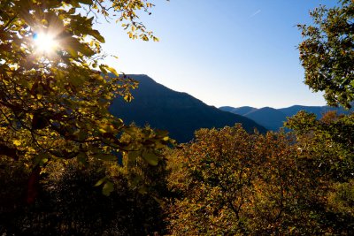 IMG_4445.jpg
