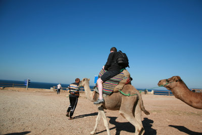 Rob on Morroccan Camel (Dromedary?!)