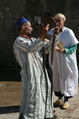 Snake Charmers at Work