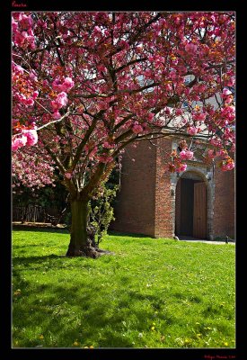 Porche vestige du Refuge de L'Abbaye de Marchiennes