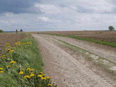 g3/60/461060/3/124088875.D9Jroohk.jpg