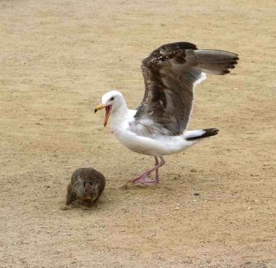 Get out of here!