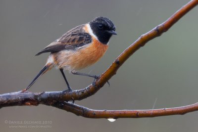 g3/60/469160/3/121527402.ISJVW3Dk.jpg