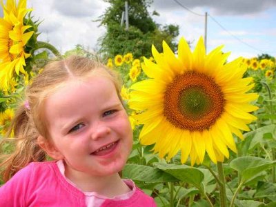 Cheeky Sunflower 2