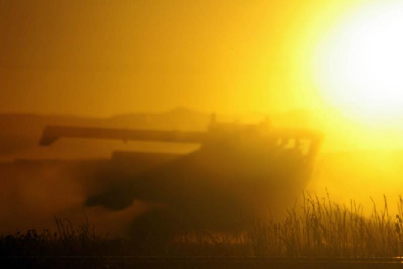 Prairie Heat