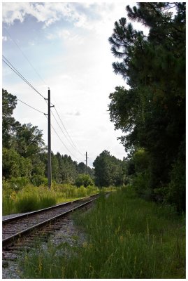 g3/60/498060/3/112993248.0t8AZfnn.jpg