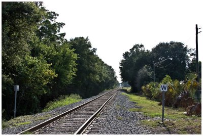 g3/60/498060/3/112993349.rDxMN9sz.jpg