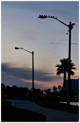 g3/60/498060/3/113325845.gA0a6PB1.jpg