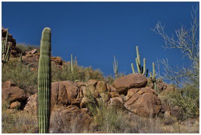 rocky hills 1