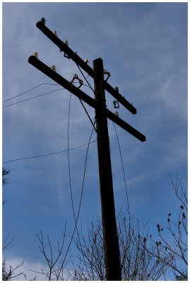 g3/60/498060/3/114327168.fAlba8kM.jpg