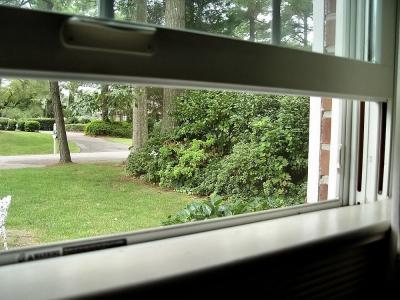 bedroom view of the street