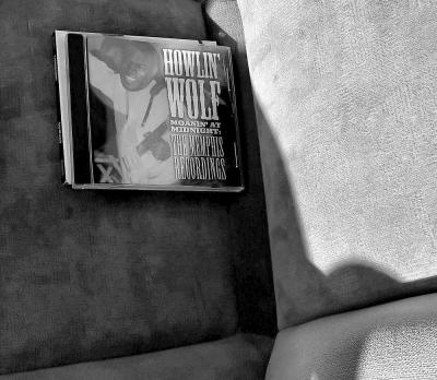 g3/60/498060/3/55275990.DSC01385bw058sonygeneralcropabw046medium.jpg