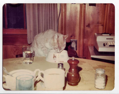 Mickey at the table, circa 1976