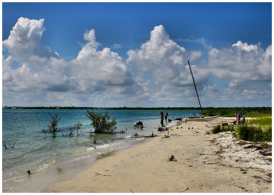 the fishing family gazes skyward in awe