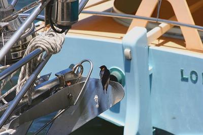 Resting on an anchor
