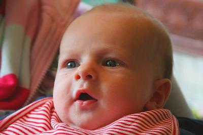 2-4-06 066.jpg