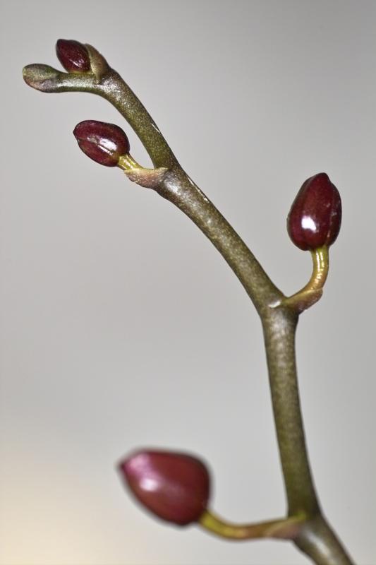 IMG10164.jpg