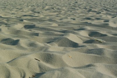 SDIM4411.jpg