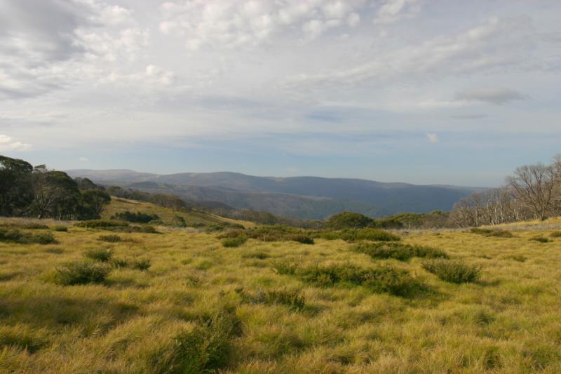 Great Alpine Road