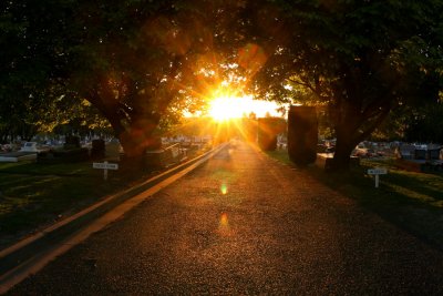 Orange Cemetery sunset