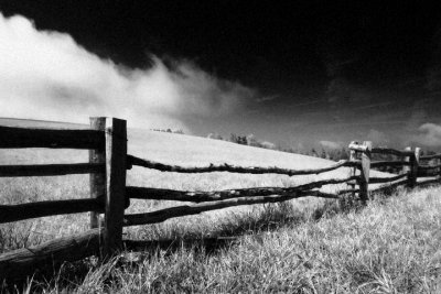 Fenced Meadow.jpg