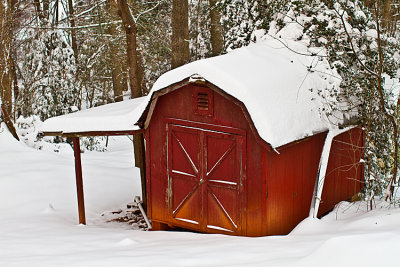 Red Shed.jpg