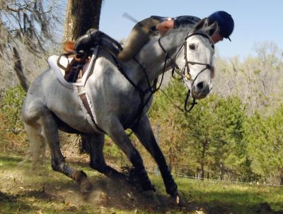 red_hills_horse_trials_2005