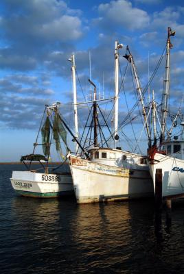 g3/60/617060/3/53166921.Shrimpers.jpg