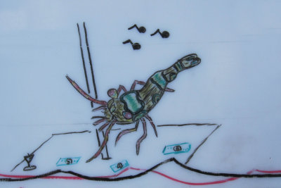 Sexy Shrimp.jpg