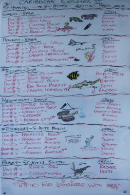 Dive History.jpg