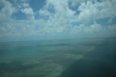 Aerial Reef 2.jpg